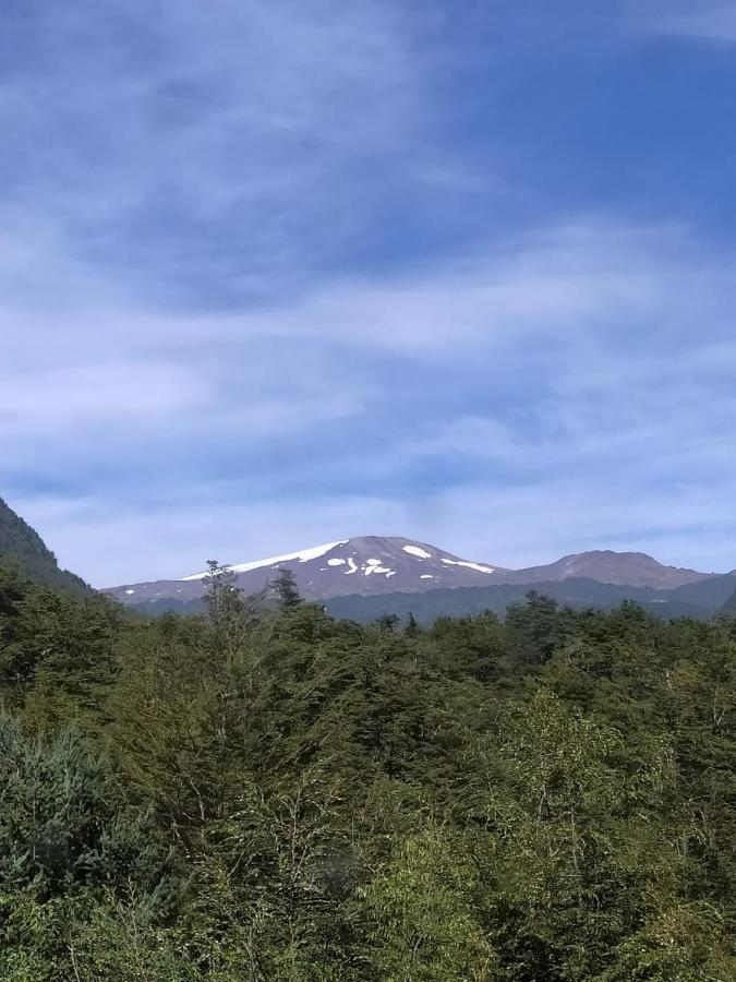 Nido Del Quetrupillan Domo Geodesico Curarrehue