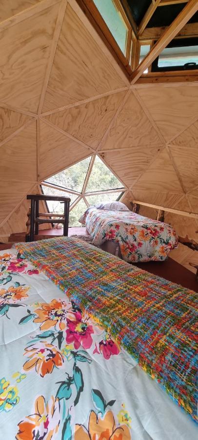 Holiday home Nido Del Quetrupillan Domo Geodesico
