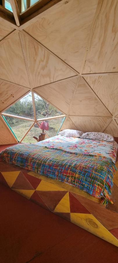 Nido Del Quetrupillan Domo Geodesico Holiday home Curarrehue
