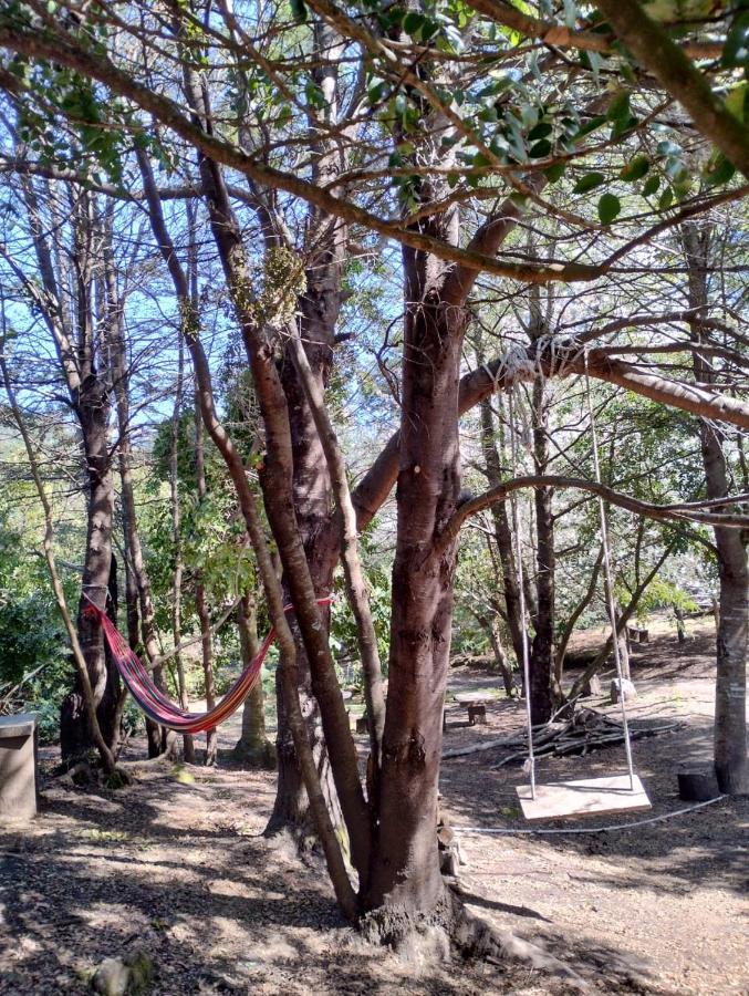Holiday home Nido Del Quetrupillan Domo Geodesico Curarrehue