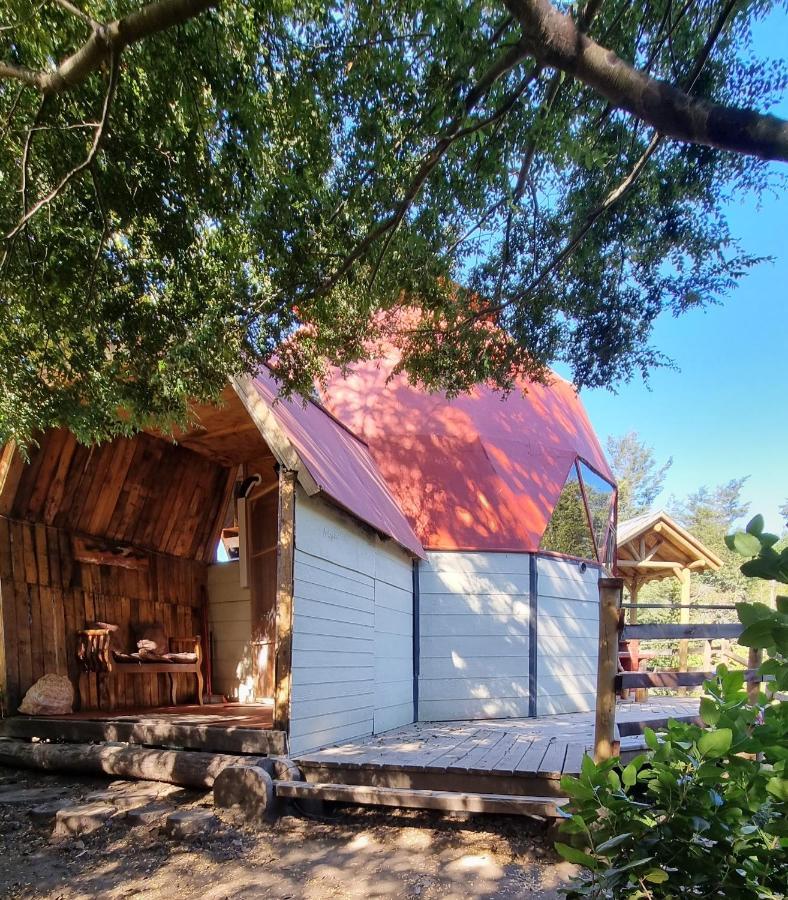 Holiday home Nido Del Quetrupillan Domo Geodesico *