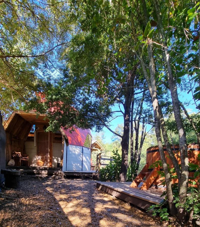 Holiday home Nido Del Quetrupillan Domo Geodesico *